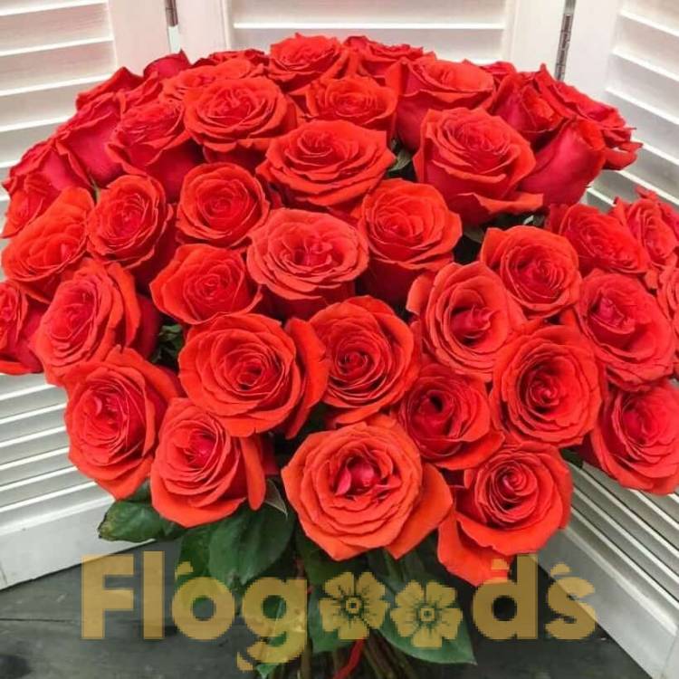 51 красная роза за 19 527 руб.